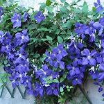 Holiday home With Views Of The Vosges Mountains *