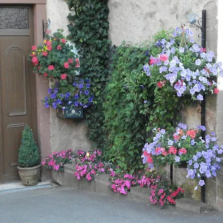 With Views Of The Vosges Mountains *