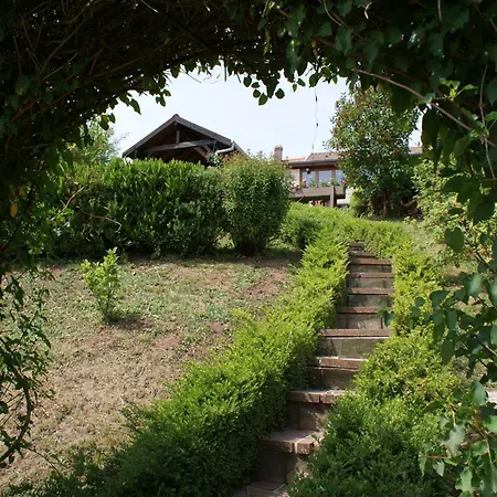 With Views Of The Vosges Mountains *