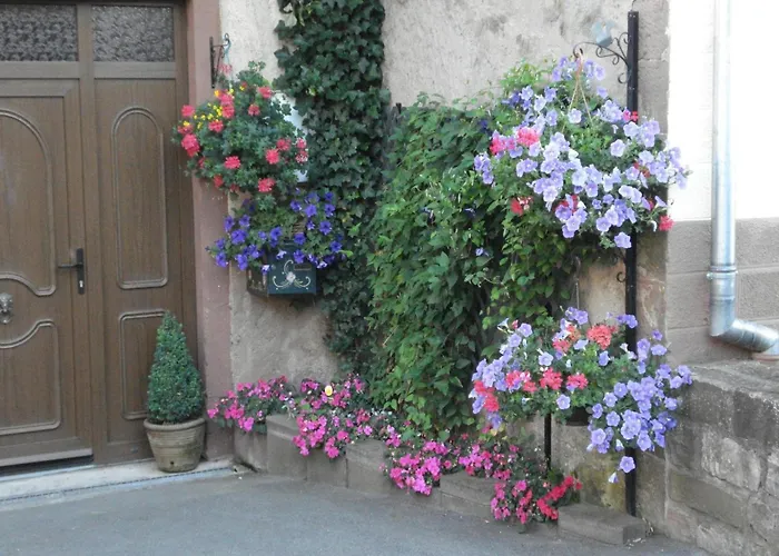 With Views Of The Vosges Mountains *