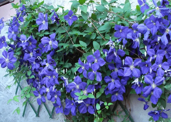 Дом отдыха With Views Of The Vosges Mountains *